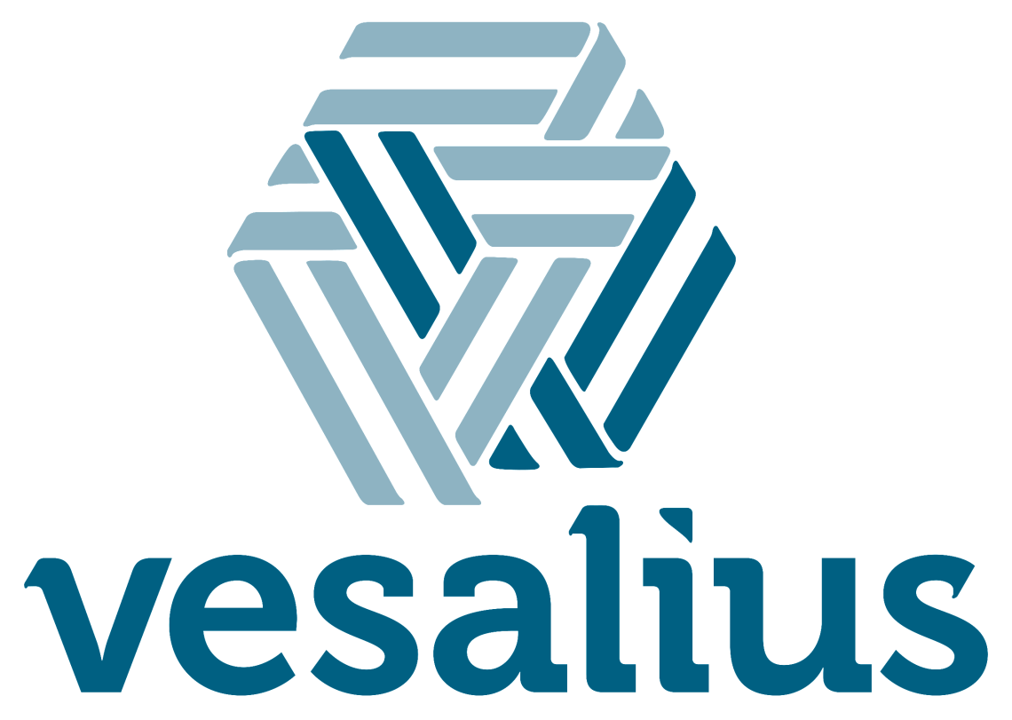 Logo van Vesaliusinstituut